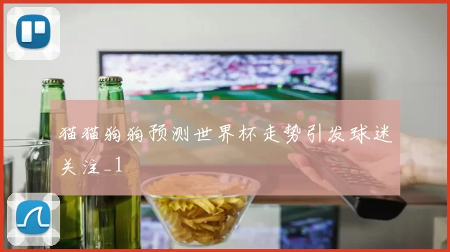 猫猫狗狗预测世界杯走势引发球迷关注_1