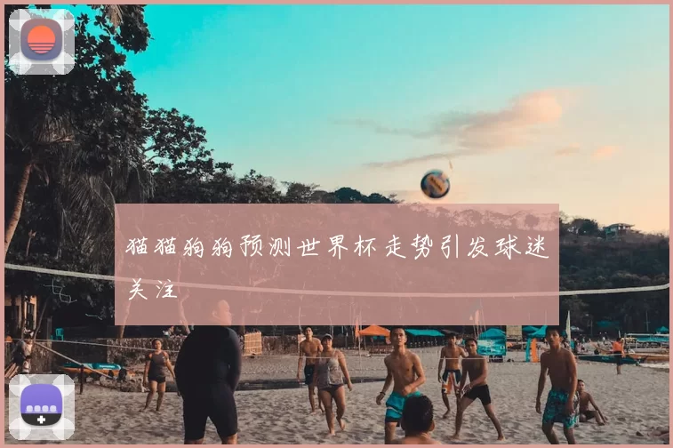 猫猫狗狗预测世界杯走势引发球迷关注