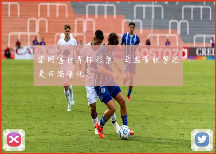 禁网售世界杯彩票:是监管收紧还是市场净化?