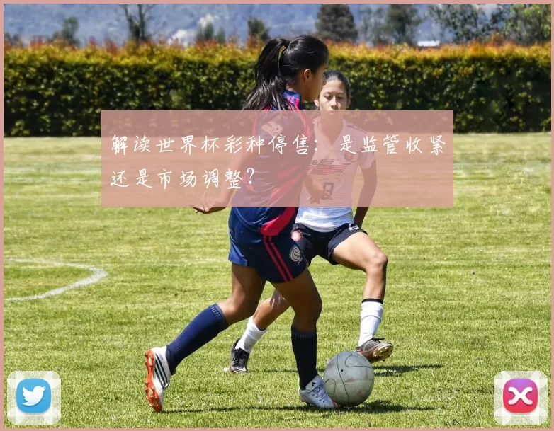 解读世界杯彩种停售:是监管收紧还是市场调整?