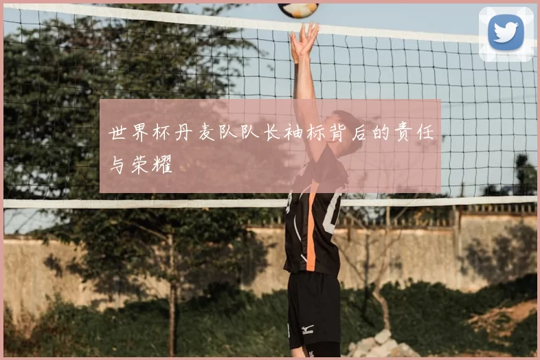 世界杯丹麦队队长袖标背后的责任与荣耀