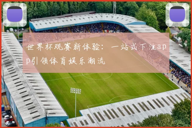 世界杯观赛新体验:一站式下注app引领体育娱乐潮流