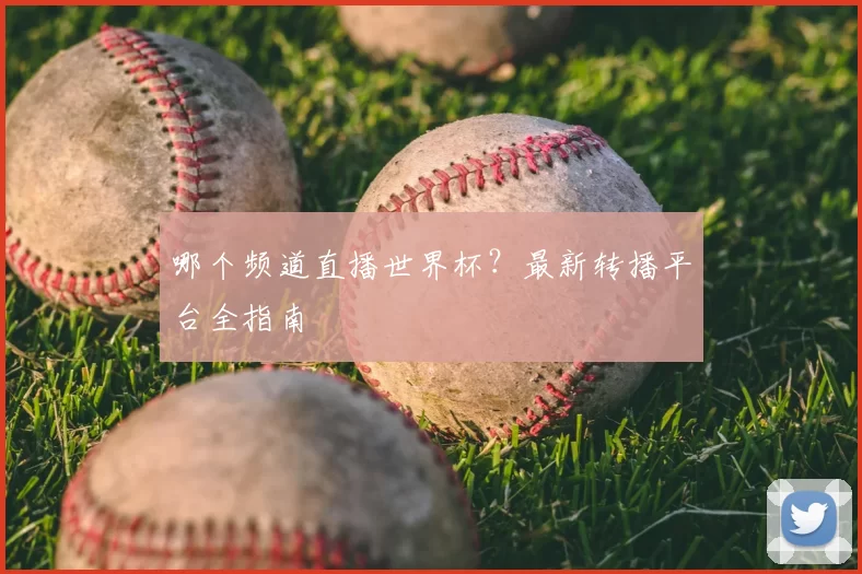 哪个频道直播世界杯?最新转播平台全指南