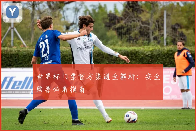 世界杯门票官方渠道全解析:安全购票必看指南