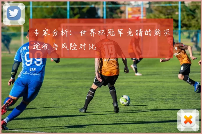 专家分析:世界杯冠军竞猜的购买途径与风险对比