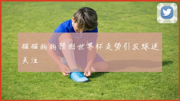 猫猫狗狗预测世界杯走势引发球迷关注